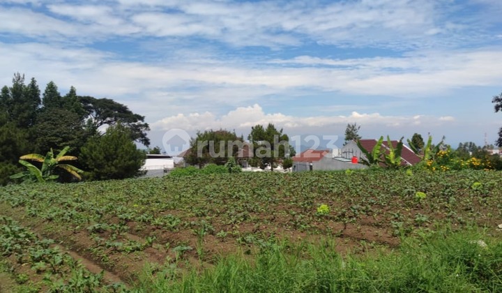 Kavling cantik dan harga termurah di Setiabudi Regency, Bandung