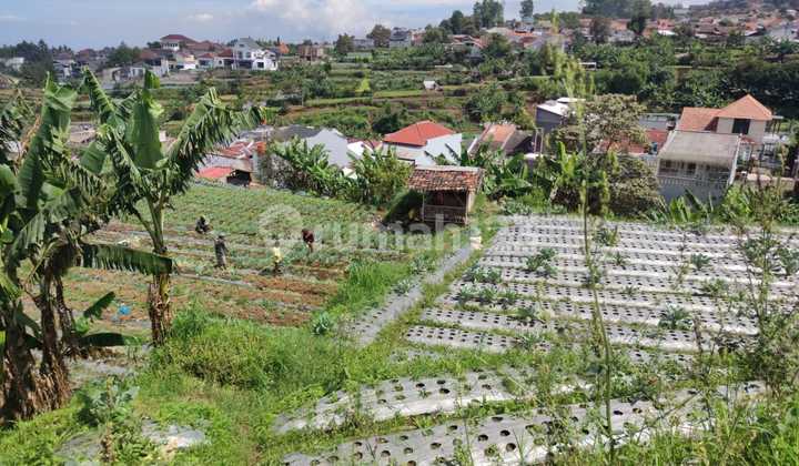 Kavling luas harga sangat murah di Setiabudi Regency, Bandung