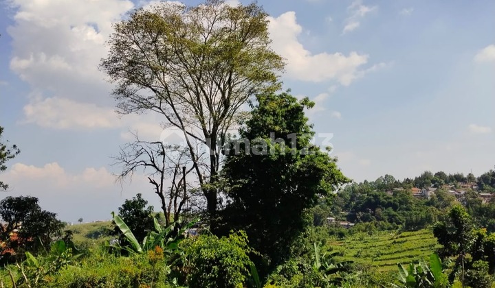 Tanah harga murah siap bangun view lembah di Dago Giri Bandung Tanah harga murah siap bangun view lembah di Dago Giri Bandung