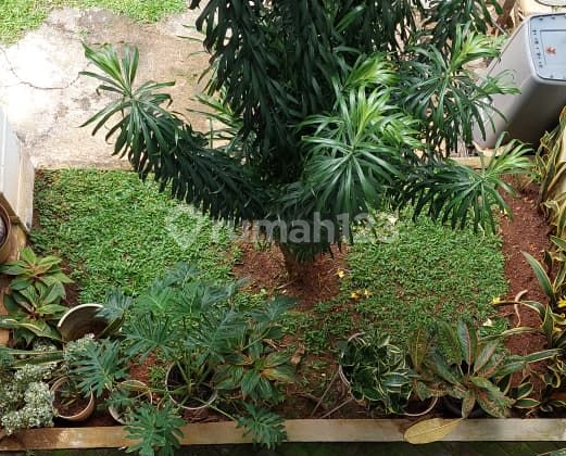 Disewakan Rumah Mewah Kebayoran Bintaro Semi Furnish 2