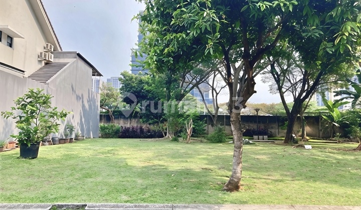 Foresta BSD Plot, Rarely Are There Units Like This