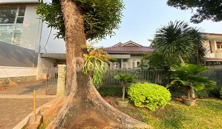 Rmh Tua Butuh Renovasi Lingkungan Asri Dan Nyaman Lokasi Strategis Pindok Indah 2