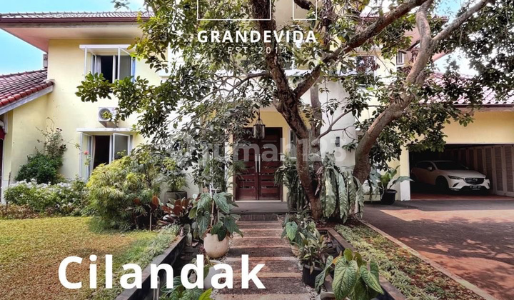 Tanah Luas Dan Bangunan Besar Ada Swimming Pool Lokasi Bagus Cilandak Jaksel Tanah Luas Dan Bangunan Besar Ada Swimming Pool Lokasi Bagus Cilandak Jaksel