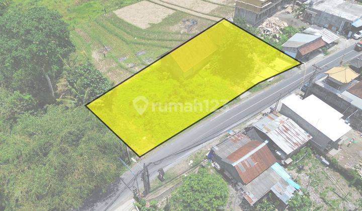 Tanah Komersil Pinggir Jalan Utama Kedungu Canggu 2