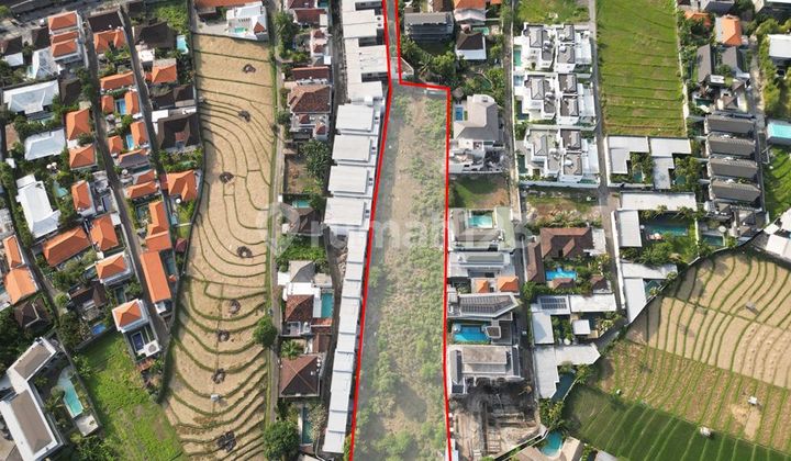 Tanah Lokasi Prime di Umalas Bumbak Kerobokan Tanah Lokasi Prime di Umalas Bumbak Kerobokan