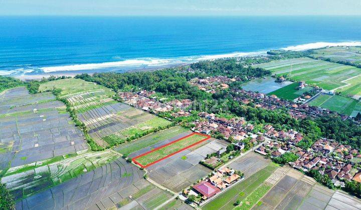 Tanah Dekat Pantai Kelating Hanya Berjarak 500m  1