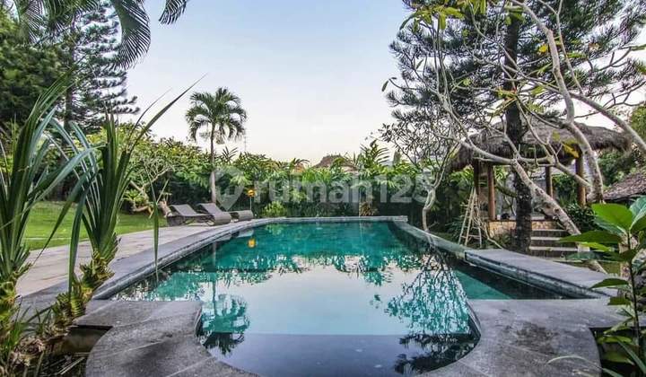 Villa For Rent In Prime Area Of Batu Bolong Canggu