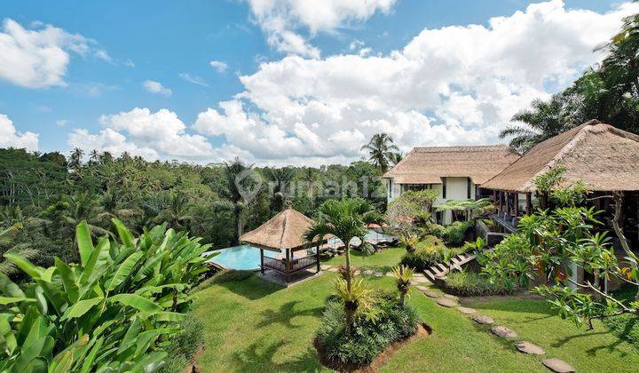 Villa Komersil View Junggle Dan Sawah Hanya 30 Min Menuju Central Ubud 1