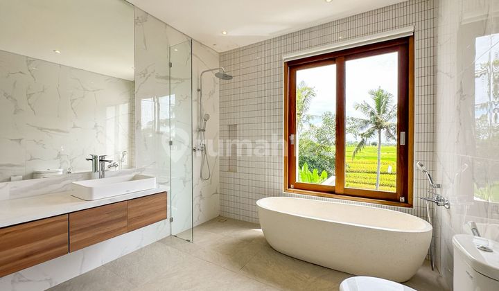 Brand New Tropical Modern 3 Bedrooms Villa With Ricefield & River View At Kedungu Tabanan Brand New Tropical Modern 3 Bedrooms Villa With Ricefield & River View At Kedungu Tabanan
