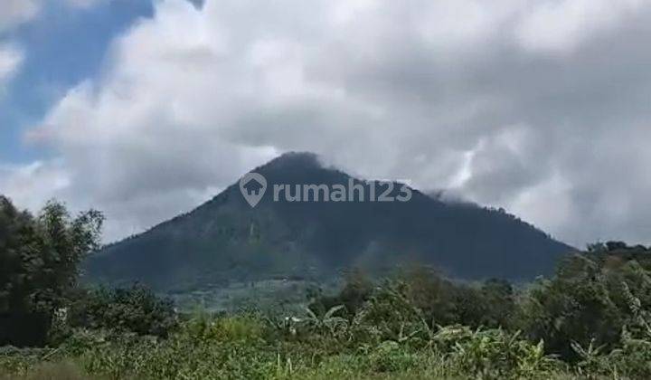 Dijual tanah kopeng siap bangun view gunung merbabu 1