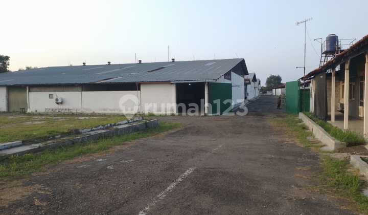 Warehouse for Sale, Ready to Use, Tegal, Central Java Warehouse for Sale, Ready to Use, Tegal, Central Java