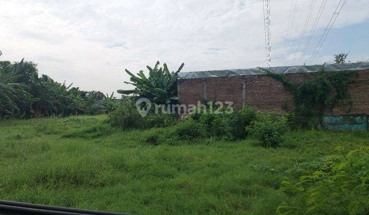 Disewakan.tanah Siap Bangun Tengah Kota Raya Jolotundo 1