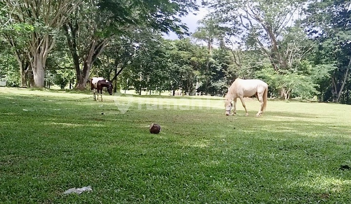 Harga Covid! Jual Cepat Kavling Bagus Area Super Rindang Adem Dan Aman! Taman Tirta Gold Bsd Lokasi Sangat Strategis Lingkungan Premium Harga Covid! Jual Cepat Kavling Bagus Area Super Rindang Adem Dan Aman! Taman Tirta Gold Bsd Lokasi Sangat Strategis Lingkungan Premium