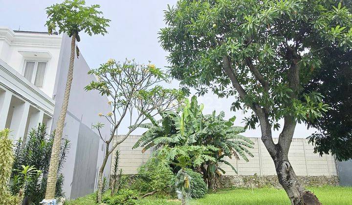 Bisa Cicil Sambil Bangun! Kavling Ready Stock Di Sutera Narada Alam Sutera Superrr Nyaman Superr Rindang! Cluster Paling Sejuk! 