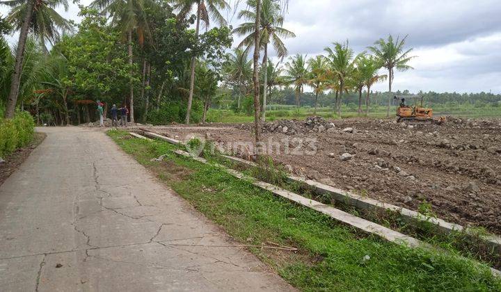 Tanah Murah 125m2, Pengasih Dekat Bandara Kulonprogo 5