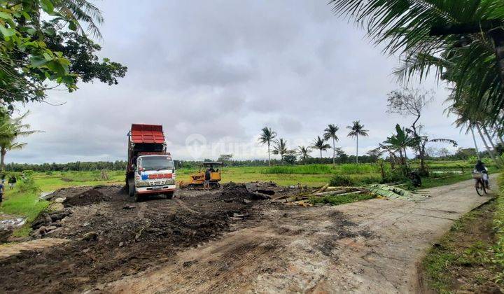 Tanah Murah 125m2, Pengasih Dekat Bandara Kulonprogo 6