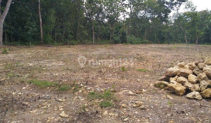 Tanah di Margosari, Kec. Pengasih Dekat Uny Wates, SHM 159 m² 5