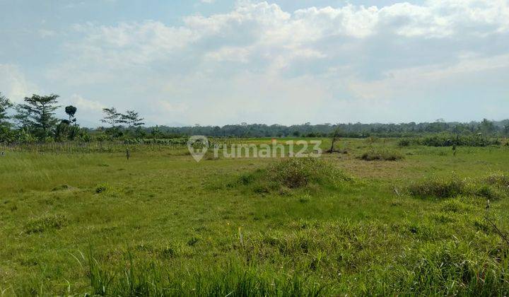 Tanah di Pare, Blondo, Kec. Mungkid, Magelang, SHM 180 m² 3