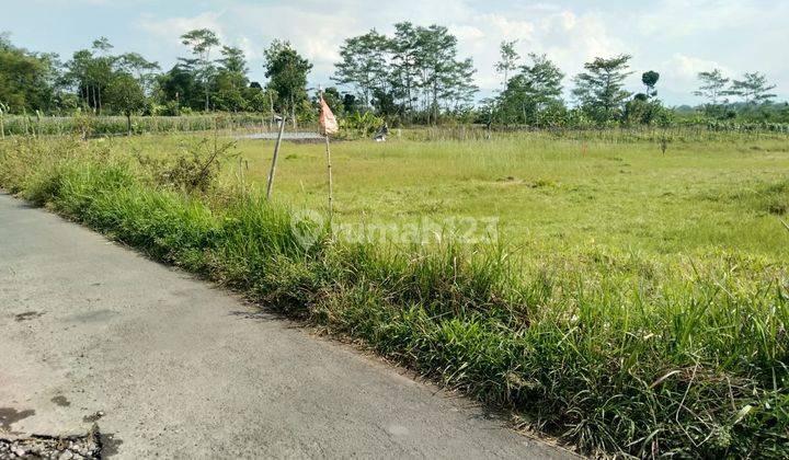 Tanah di Pare, Blondo, Kec. Mungkid, Magelang, SHM 180 m² 5