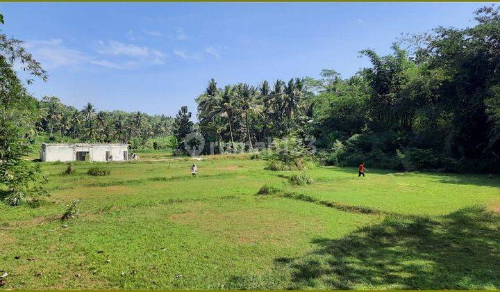 Jual Tanah Murah Jogja Barat Dekat Polsek Nanggulan SHM 5