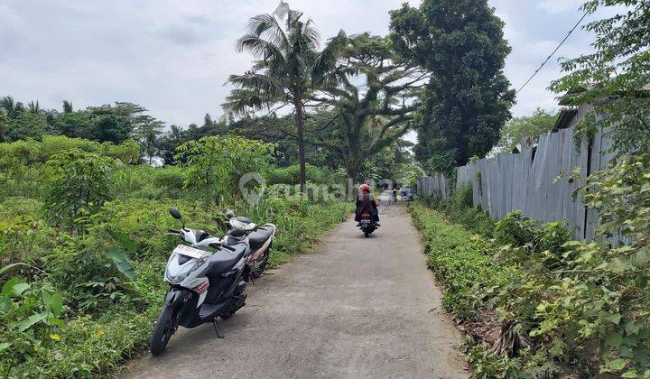 Tanah Sawah Area Tanjung 2, Sleman Jogja 2