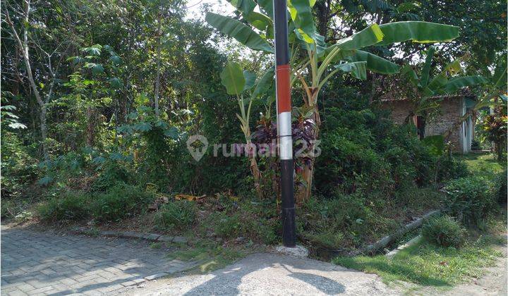 Tanah Murah Sleman Dekat Polsek Minggir, Cocok Untuk Investasi 2
