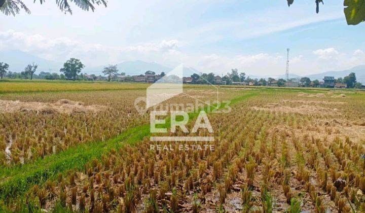 Tanah 7.000m² di Cisaradan Girang Langensari Majalaya 2