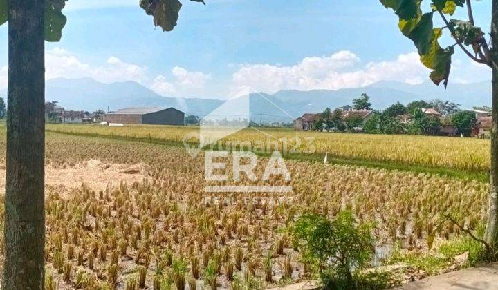 Tanah 7.000m² di Cisaradan Girang Langensari Majalaya 1