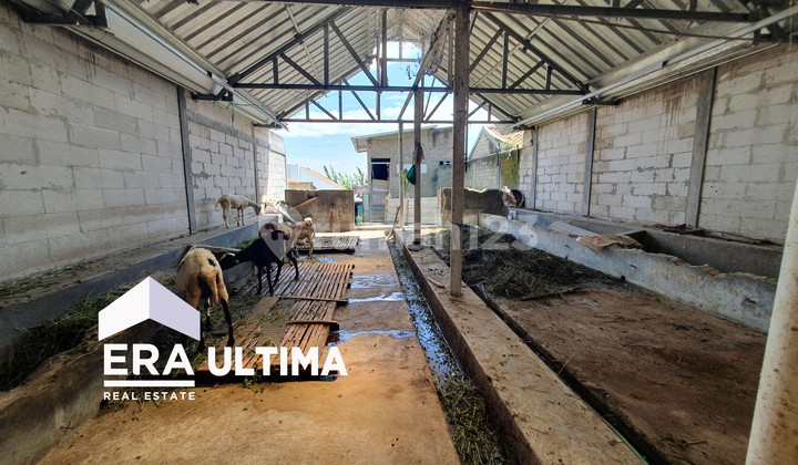 Tanah 156M² Eks Kandang Ternak dan Bangunan di Padaasih, Kab.bandung Barat.