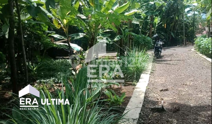 Land for Sale in Malaka Village, North Situraja, Sumedang.