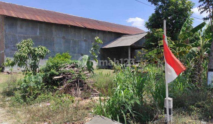 1625. Rumah, Gudang Tanah Jalan Raya Soko Kabupaten Tuban 2