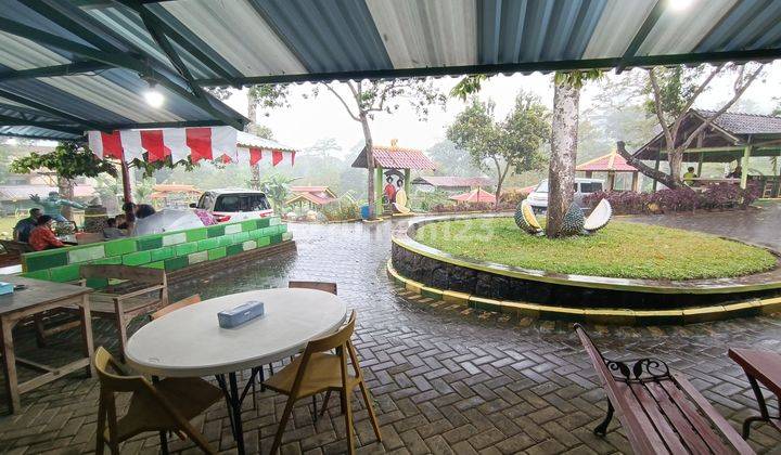 1327. Dijual Murah Tempat Wahana Duyung Trawas Hill, Mojokerto 1