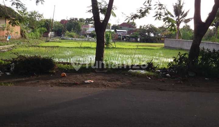 2033. Cheap Land for Sale on Jl Anyelir, Praya Subdistrict, Central Lombok, NTB. 2033. Cheap Land for Sale on Jl Anyelir, Praya Subdistrict, Central Lombok, NTB.