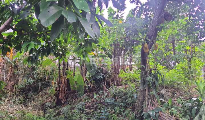 Dujal Tanah Jagakarsa Jaksel 2