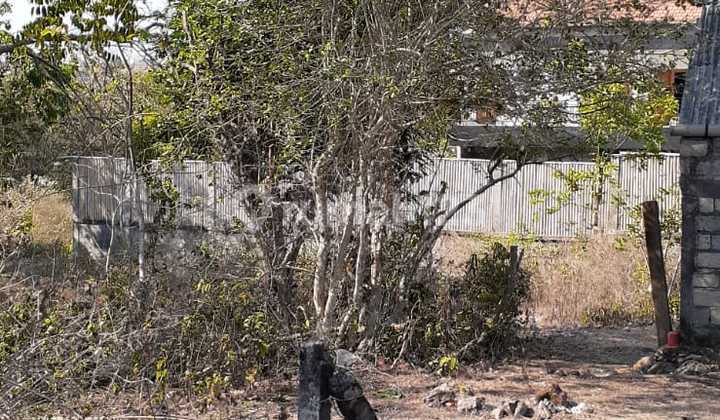 Land for sale in Jalan Jepun Putih Jimbaran, Bali Land for sale in Jalan Jepun Putih Jimbaran, Bali