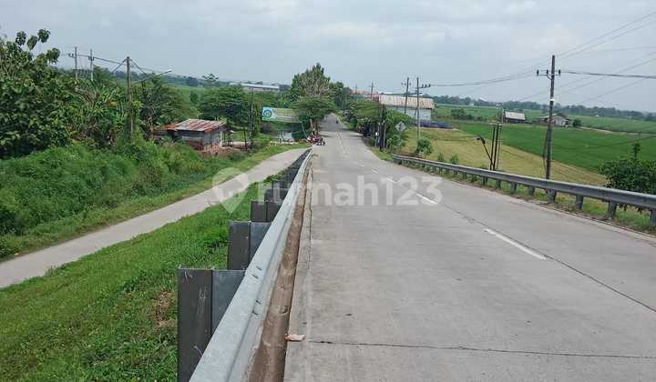 Land in Watu Dakon Village, Kesamben District, Jombang Land in Watu Dakon Village, Kesamben District, Jombang