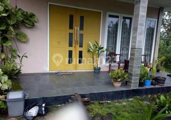 For Sale Countryside Atmosphere House in Ciampea, Bogor, West Java For Sale Countryside Atmosphere House in Ciampea, Bogor, West Java