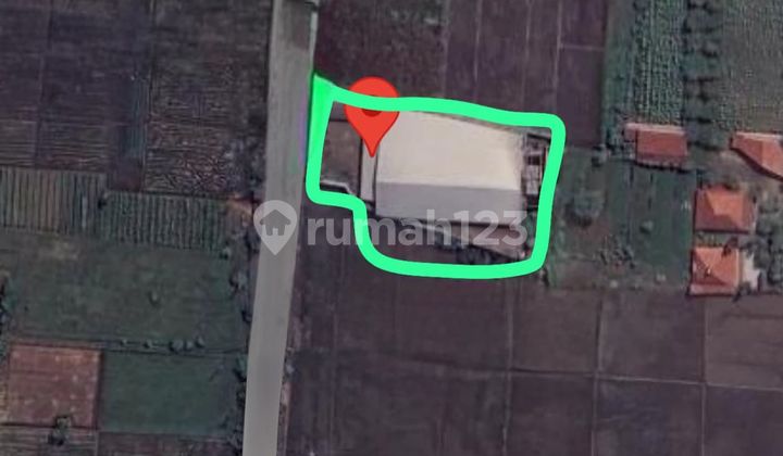 Gudang Murah Strategis Luas Di Kabupaten Tegal 1