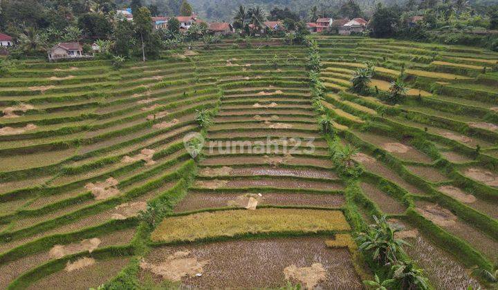 Tanah Kavling Luas Murah View Bagus di Sungareun Cianjur Jawa Barat 1