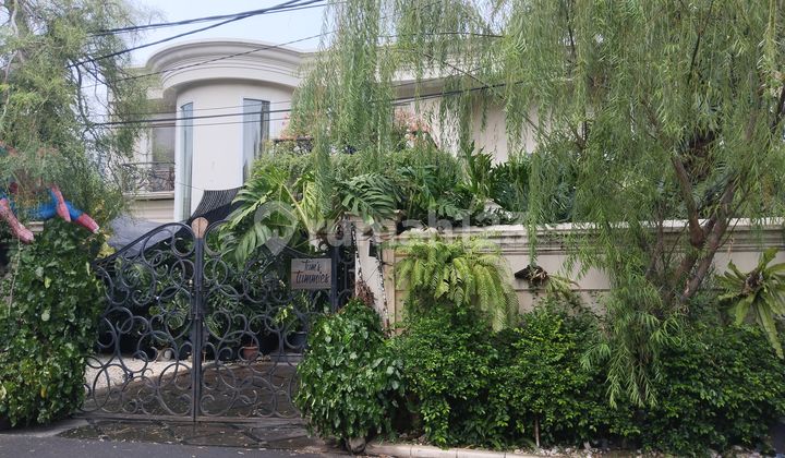 Rumah Asri 2 Lantai Cipete Jl Tumaritis Cilandak Jakarta Selatan Lt 395M2 Murah Cash Only