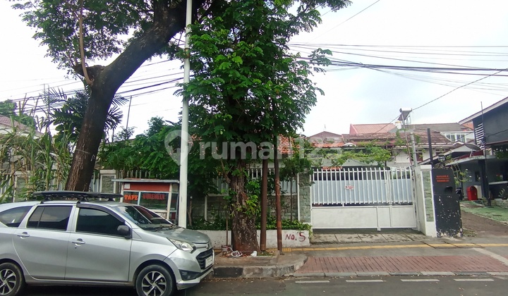 Rumah Lama Asri di Jl Tebet Barat Raya Tebet Jakarta Selatan Lt 528M2 Sangat Murah Good Invest Cash Only