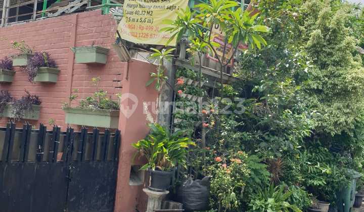 Asri Old House at Jl Percetakan Negara, Johar Baru, Central Jakarta, Land Area 164m2, Cash Only 2
