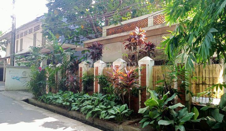 Rumah Asri Jl Rindang Kel Cipedak Jagakarsa Jakarta Selatan Murah Cck Invest Lt 1.029m2