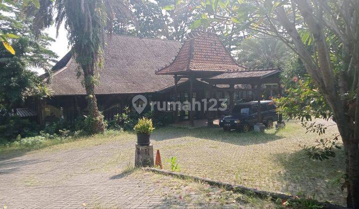 Rumah Lama Luas Di Jl Jeruk Buntu Cilandak Timur Jaksel Lt.5555m2 Hrg 10jt/M