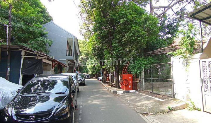 Rumah Asri Di Menteng  Jl Surabaya Jakarta Pusat Shm 2