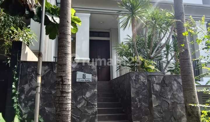 Rumah 3 Lantai Mimosa Town House Pejaten Barat Jakarta Selatan Lt.186m Murah Bawah Pasar 3.95M Good Invest Cash Only Rumah 3 Lantai Mimosa Town House Pejaten Barat Jakarta Selatan Lt.186m Murah Bawah Pasar 3.95M Good Invest Cash Only