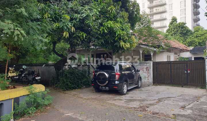 Rumah Tua Area Prime Jl Surabaya Menteng Jakarta Pusat Lt 455m2 Cash Only