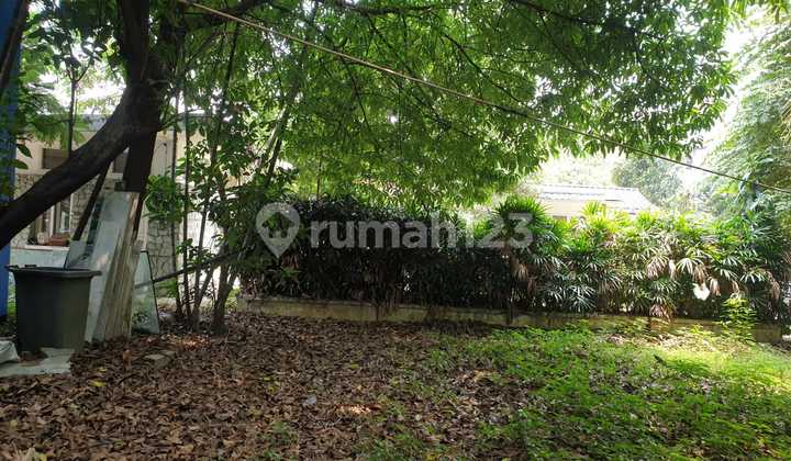 Rumah Lama Asri Di Jl Kusuma Atmaha Menteng Jakarta Pusat Lt 749m2 Cash Only