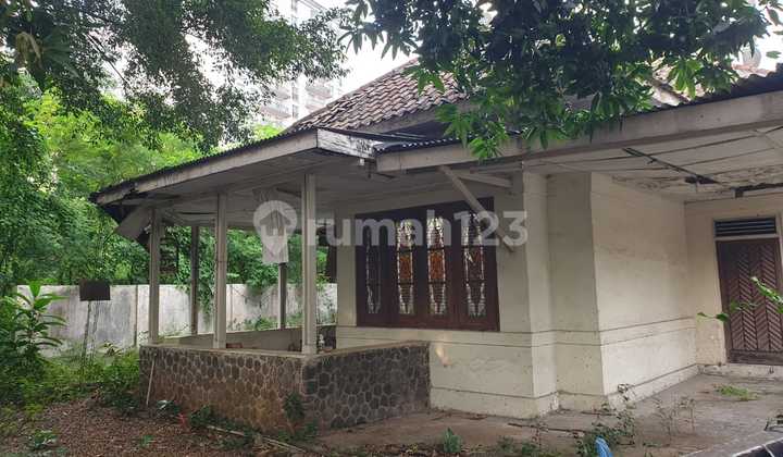 Rumah Tua Area Prime Jl Surabaya Menteng Jakarta Pusat Lt 455m2 Cash Only 2