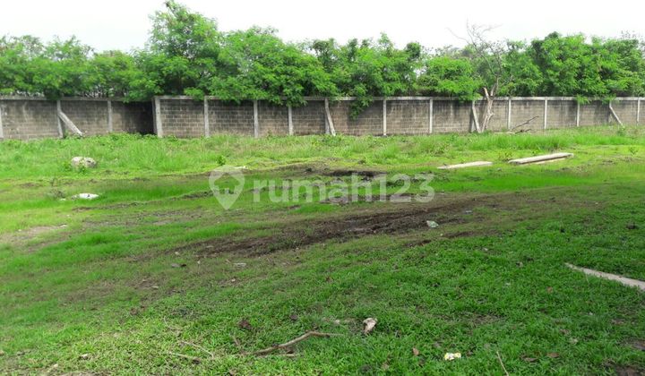 Dijual Tanah Jalan Raya Di Cikupa Mas Tangerang 2
